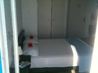 Anemoessa Isternia (Tinos)
